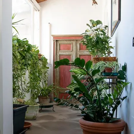 Palazzo Spagna Σπίτι διακοπών Συρακούσες