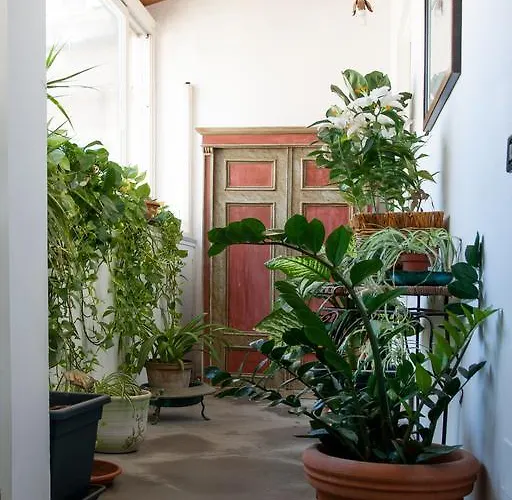 Palazzo Spagna 펜션 시라쿠사